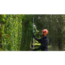 BOSCH Akku-Teleskopschneider für Hecken 200 - 250 cm GHE 18V-50T mit Drehzahlregelung (ohne Akku und Ladegerät)