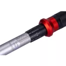 FESTA Drehmomentschlüssel 1/2" 40 - 220 Nm