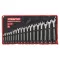 FESTA Schraubenschlüsselsatz 18-teilig 6-24 mm CrV Profi