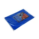 Abdeckplane 4 m2 (2 x 2) PE 70g/m2 blau