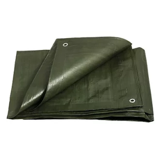 Plane 4 x 6 m PE Profi (200 g/m2)