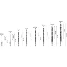 BOSCH PRO Schlangenbohrer Set, 8 Teile 2,0 - 10 mm HSS-G Bit Aufnahme