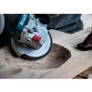 BOSCH Lamellenschleifscheibe gerade 125 x 22,2 / P40 Aluminiumoxid X451 Multi Material