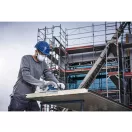 BOSCH Sägeblatt für Sandwichplatten 165 x 20 x 2,0 mm / 30T Expert für Sand. Panel