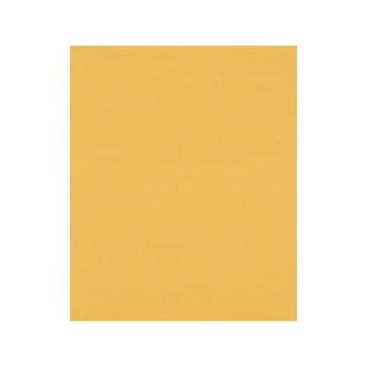   BOSCH EXPERT C470 Schleifpapier 230 x 280 mm für Holz & Farbe / P120