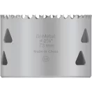 BOSCH PRO Lochsäge 73 mm (8% Kobalt) Gewinde Multi Material