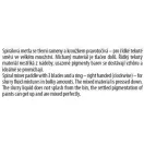 FESTA Mörtelrührstab M14 120 x 600 mm Rechtshänder