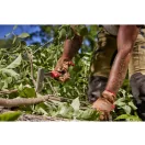 MILWAUKEE Axt + Messer Set