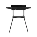 LUND Elektrogrill 500 x 250 mm C 2200 W