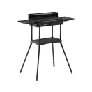 LUND Elektrogrill 500 x 250 mm C 2200 W