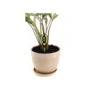 FLO Digitaler Bodenmesser mit 4 Funktionen