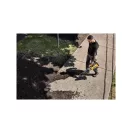 DEWALT Akku-Laubbläser 54 V (ohne Akku und Ladegerät)