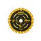 DEWALT EXTREME Sägeblatt für Holz 165 x 20 x 1,65 mm / 24T