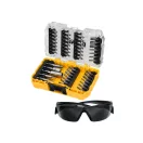 DEWALT Bitspitzen-Set 47 Teile + Schutzbrille