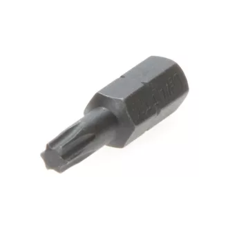 DEWALT Bitspitze T15 x 25 mm (20 Stück)