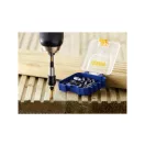 IRWIN Impact Pro Bit-Set PH2 x 25 mm + Bithalter (20 Stück)