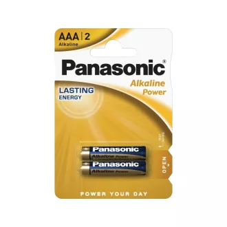   PANASONIC AAA/Micro langlebige Alkalibatterie 1,5 V (2 Stück)
