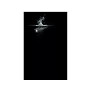 LEDLENSER Akku-Stablampe mit UV-Licht P7R Work 1200 lm Li-ion 4800 mAh