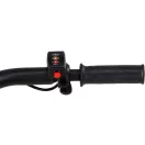 YATO Elektrischer Schubkarren 500 W