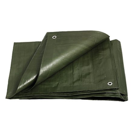 Plane 4 x 6 m PE Profi (200 g/m2)