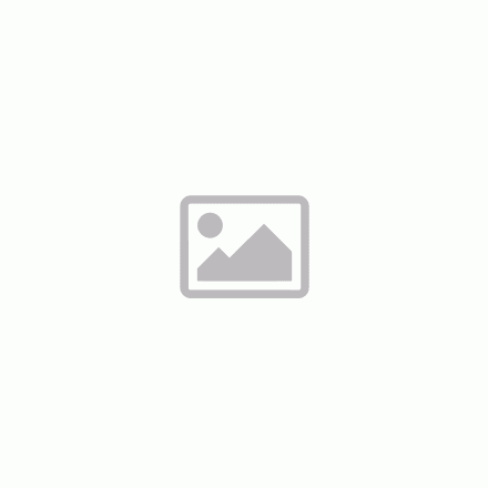 BEXT Abdeckfolie 50 Mikron 100 m2 / Rolle