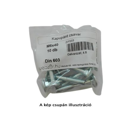 Türscharnierschraube DIN 603, 4.8 verzinkt, M6x40 (10 Stück)